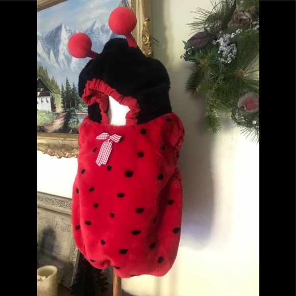 1999 Lady Bug Costume 12-24 Months FINAL SALE - Picture 2 of 8